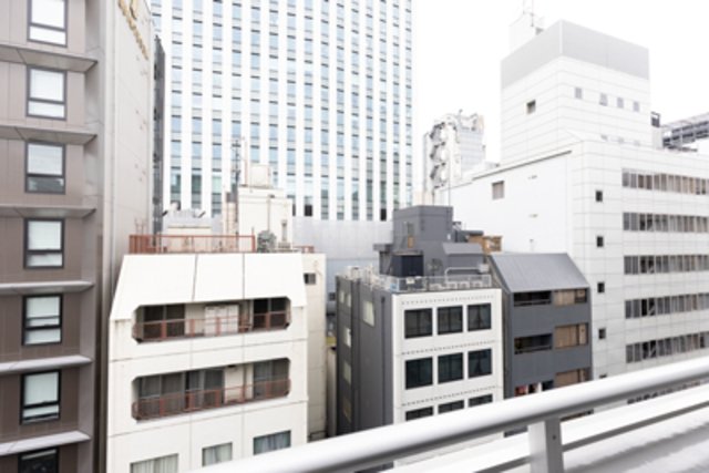 ミレアコート銀座プレミア