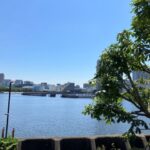 ウィルローズ月島テラス
