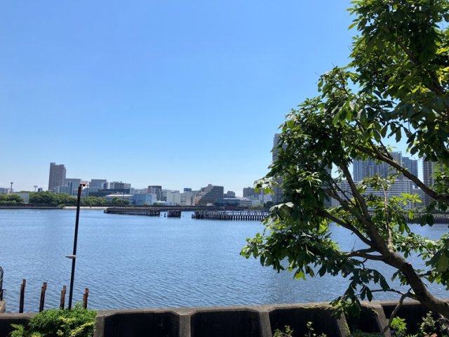 ウィルローズ月島テラス
