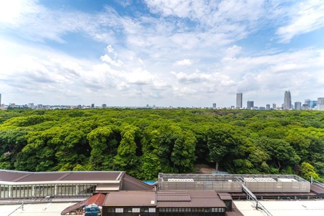 ウィズ原宿レジデンス