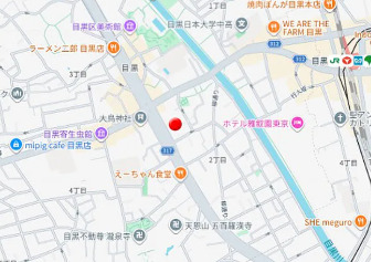 グランドメゾン目黒プレイス