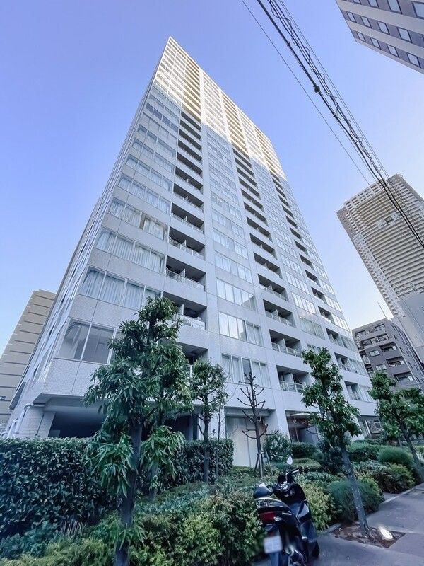 Ｗｈｉｔｅ　Ｔｏｗｅｒ　Ｈａｍａｍａｔｓｕｃｈｏ