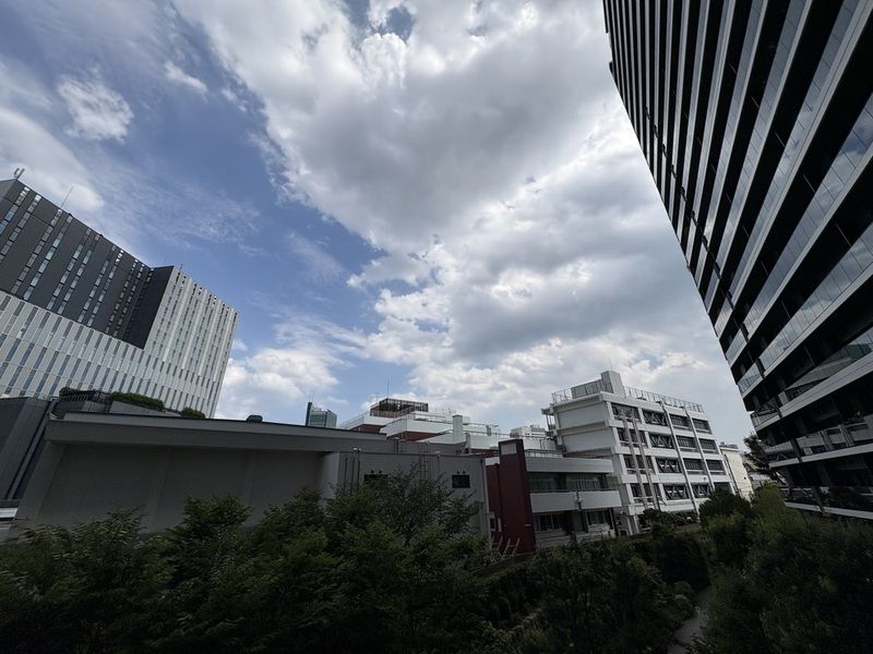 ＴＨＥ　ＣＯＵＲＴ　神宮外苑