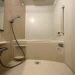 Ｒｏｓｙ　Ｒｅｓｉｄｅｎｃｅ　Ｓｈｉｒｏｋａｎｅ