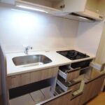 シルヴァー アウル
