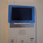 シルヴァー アウル