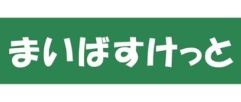 シルヴァー アウル